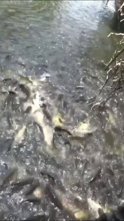 Провинциальный Таиланд.