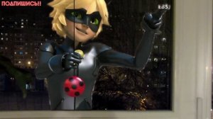 ЛЕДИ БАГ И СУПЕР КОТ В РЕАЛЬНОЙ ЖИЗНИ НАШЛИ МЕНЯ В НОВОЙ КВАРТИРЕ 💙 LADYBUG IN REAL LIFE 💙