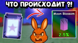 Ночные семена Moon Blossom Grow a Garden
