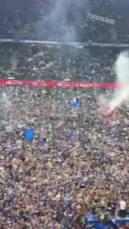 Гамбург вышли в Бундеслигу, но остались без газона! #футбол #football