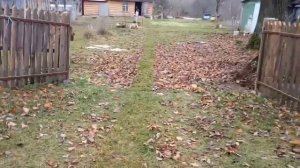 Как быстро убрать опавшие листья? Газонокосилка в пом?