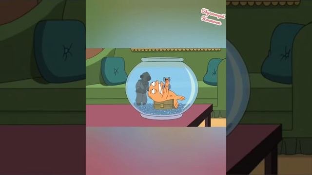 😻🧡 Американский папаша смешные моменты .Роджер опять орет и убивает .Клаус грустит.