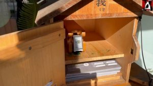 Долгожданное путешествие 2024. Страна вторая- Южная Корея. Эпизод 9.