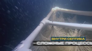 ЭКОМИР  Проектирование септиков