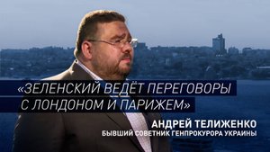 «Добивается отправки войск НАТО»: бывший генпрокурор Украины — о переговорах Зеленского с Западом