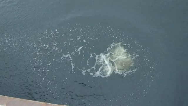 всегда говори да смотреть онлайн