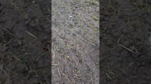 Эквинокс 700.Если нет снайперки....а очень нужно.