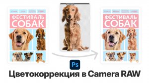 Цветокоррекция в Camera Raw