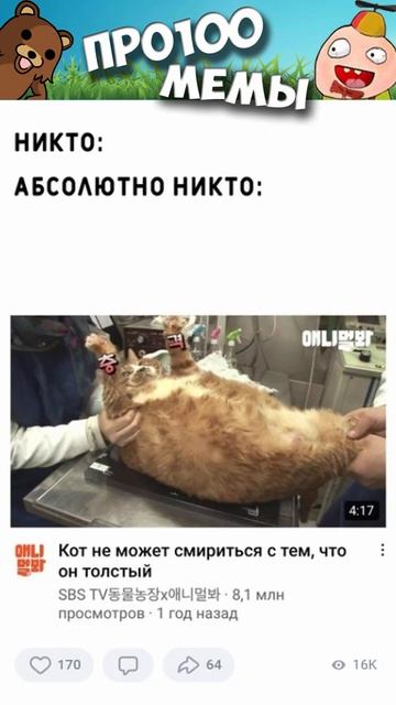 #мемы #приколы #мемы2022 #коты #мемыскотами #приколы2022 #короткиеприколы #мемасы #мемчики #животны смотреть онлайн