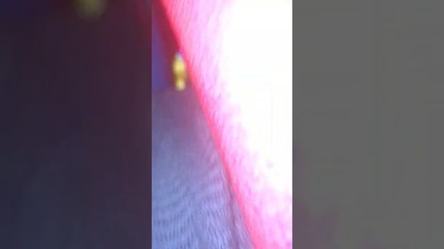 Реакция на бустер от первого лица!!! Диво-Остров Санкт-Петербург смотреть онлайн