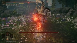 Страж древа [202] Shadow of the Erdtree