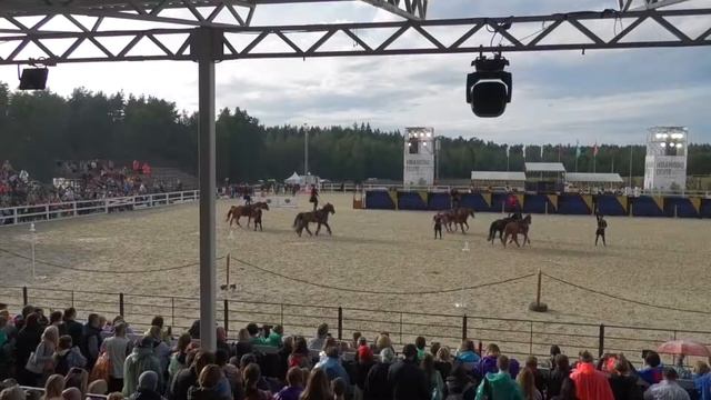 20190720 Иваново поле 2019. Джигитовка. Кремлёвская школа верховой езды