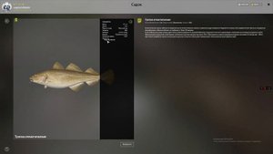 РР4. Где живет Окунь-Клювач на Норвежском море!? Высоки?