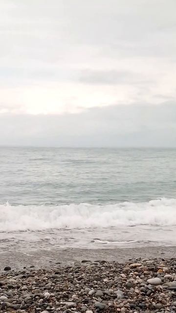 30 мая 2024 г. Море шумит, Золотые пески смотреть онлайн