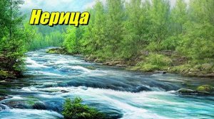 Нерица — река в Коми