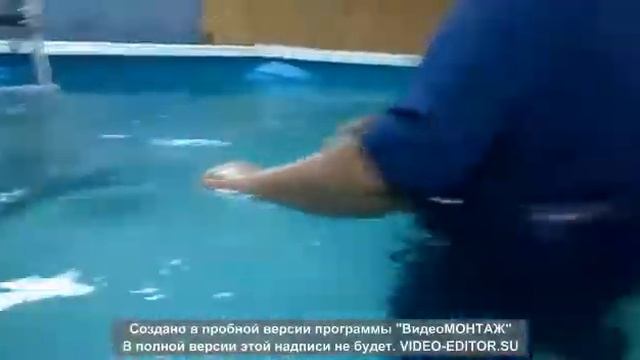 Аманси Квин оф Май Хард в кинологическом клубе Аврора
