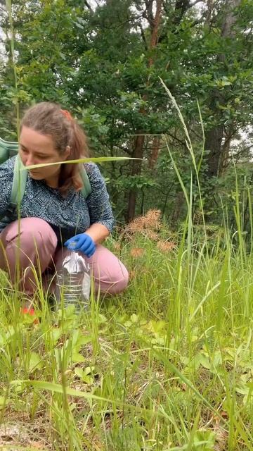 Шок! Земляничная поляна! Вам нравится вкус лесной земл смотреть онлайн