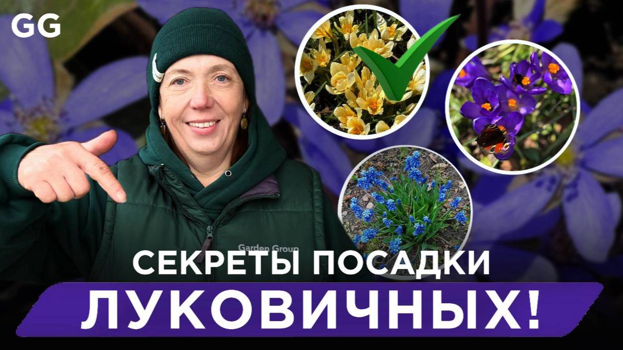 Как украсить сад луковичными растениями: секреты ландшафтного дизайна от эксперта