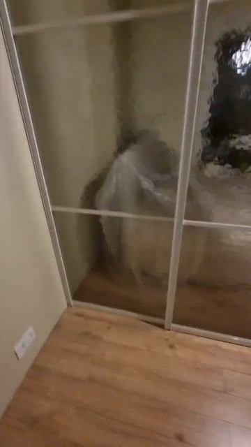 Межкомнатная Перегородка. По заказам +7(905)558-08-82 Работа? смотреть онлайн