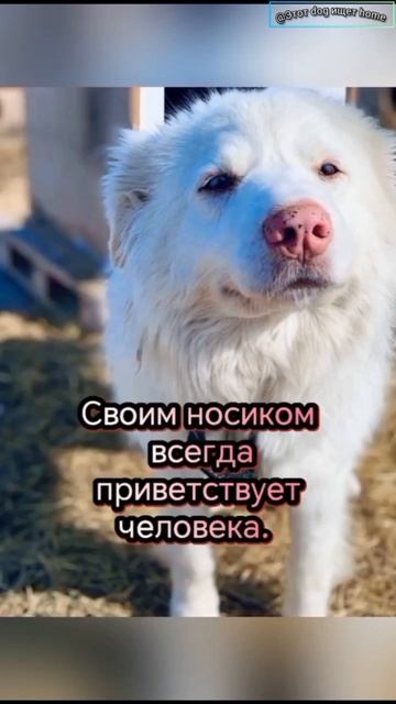 Пообщайся со мной