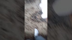 Я В ДЕРЕВНЕ