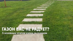 Уход за газоном: полный список необходимых мер