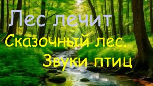 Лесное спокойствие. Успокаивающие звуки природы. Сказочный лес. Звуки птиц. Лес лечит.