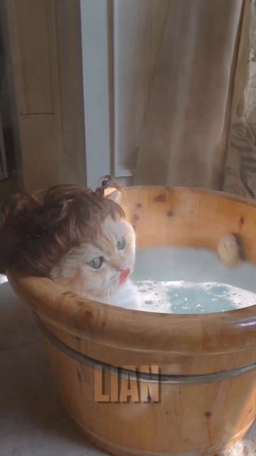 Когда она пропала... 😅 Ты знаешь кому отправить это видео! (Смешное видео, приколы, мемы, вайны) смотреть онлайн