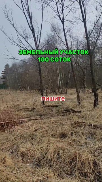 Участок 100 соток с. Велегож Тульская область