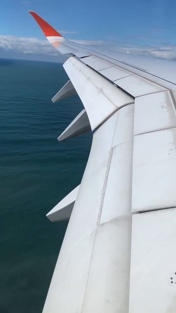 За минуту до посадки в Сочи на Airbus A350 а/к AEROFLOT #aircraft #aviati смотреть онлайн