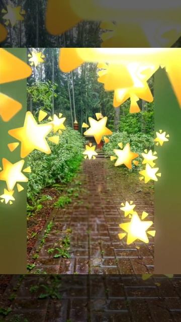 Природа цветы родник Серебрянка #лето #природа #flowers