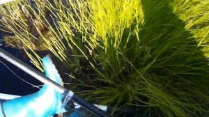 Рыбалка с супругой на таежной ламбушке.