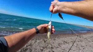 Рыбалка на Капчагайском водохранилище: Насосная стан?