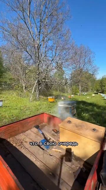 Официальная причина мора пчёл в Башкирии, есть и неофи