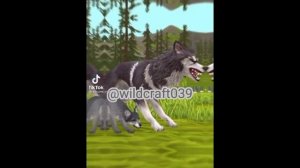 ~подборка роликов из тик тока~¦WildCraft¦🌿3 часть 🌿