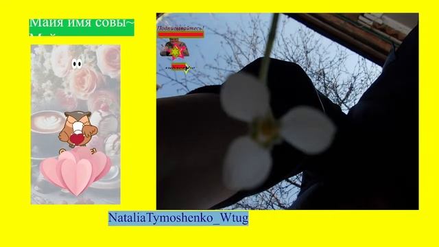 #ЛМТ подснежники весеннее настроение