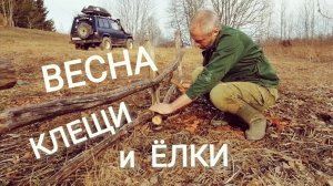 Посадили елки. Ремонтируем забор и машину. Клещи атакуют..