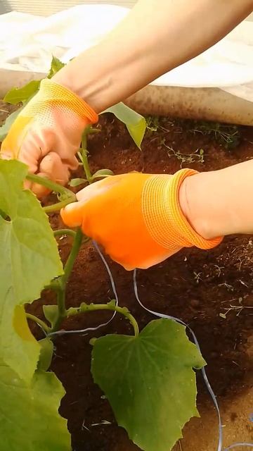 Завязываем узлы правильно Осваиваем технику #дача #ог смотреть онлайн