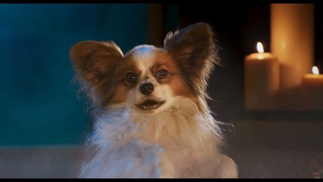 Поліцейський пес - офіційний (український) смотреть онлайн