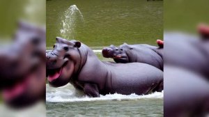 Бред нейросети! Самое ржачное и странное что только могла создать нейросеть! Часть 3 #юмор