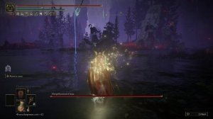 Погребальная птица [200] Shadow of the Erdtree