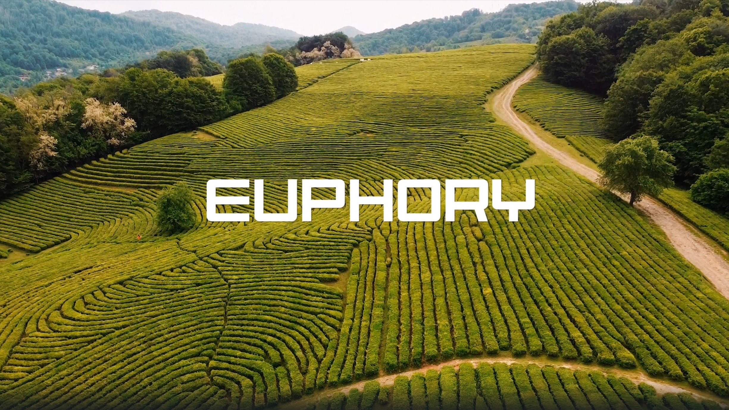 EUPHORY