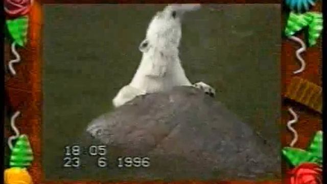 Чекушка смотреть онлайн