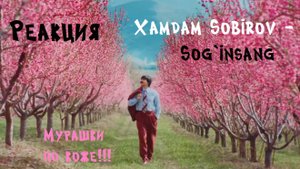 Реакция | Xamdam Sobirov - Sog`insang