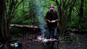 ЛЕСНЫЕ ЖЕЛЕЗЯКИ