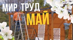 МИР, ТРУД, МАЙ | Как оживает наш участок