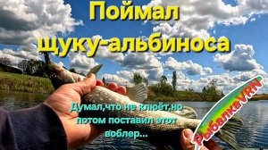 [2025]Рыбалка на спиннинг в мае 2