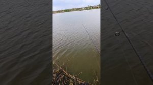 мормышинг или фидер?! #мормышинг #2025 #рыбалка #рыбалканаспиннинг #мотыль