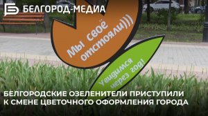 Белгородские озеленители приступили к смене цветочного оформления города