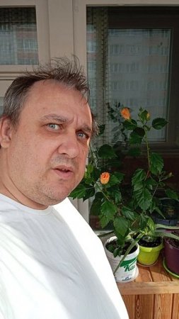 Добрый совет! 🙂